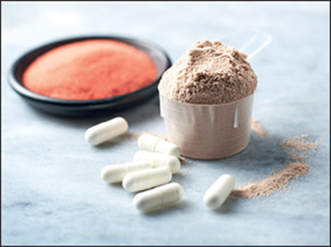 Protein Supplement