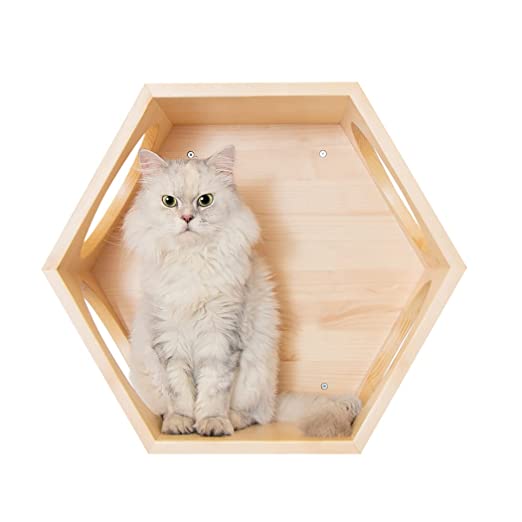 Wooden Cat